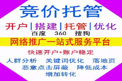 百度推广费用投入与用户转化路径的优化案例